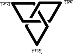 Vastu Shastri Bhavin logo
